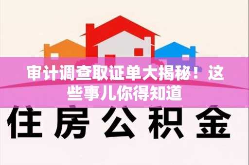 漳浦审计调查取证单大揭秘！这些事儿你得知道