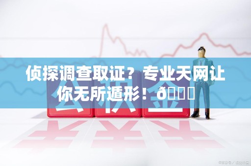 漳浦侦探调查取证？专业天网让你无所遁形！😎
