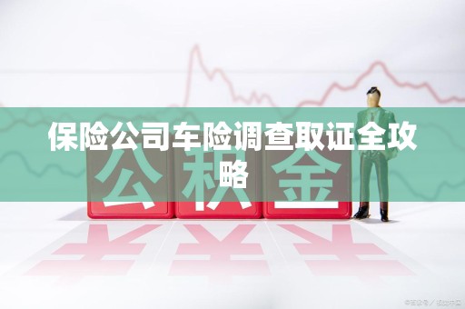 漳浦保险公司车险调查取证全攻略