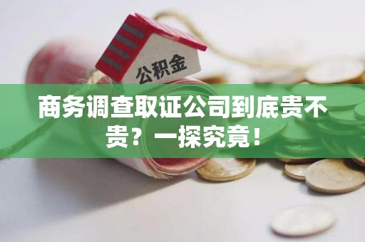 漳浦商务调查取证公司到底贵不贵？一探究竟！
