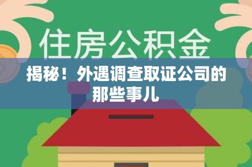 漳浦揭秘！外遇调查取证公司的那些事儿