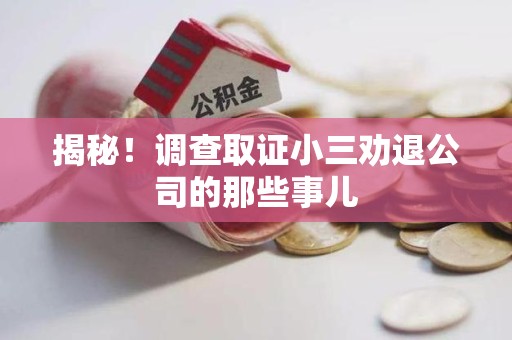 漳浦揭秘！调查取证小三劝退公司的那些事儿