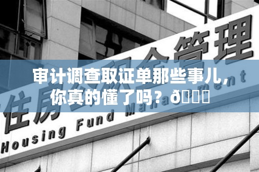 漳浦审计调查取证单那些事儿，你真的懂了吗？😎