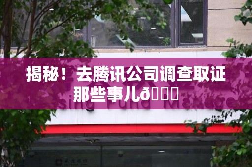 漳浦揭秘！去腾讯公司调查取证那些事儿😎